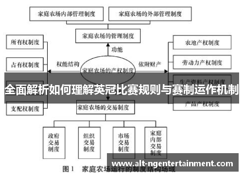 全面解析如何理解英冠比赛规则与赛制运作机制